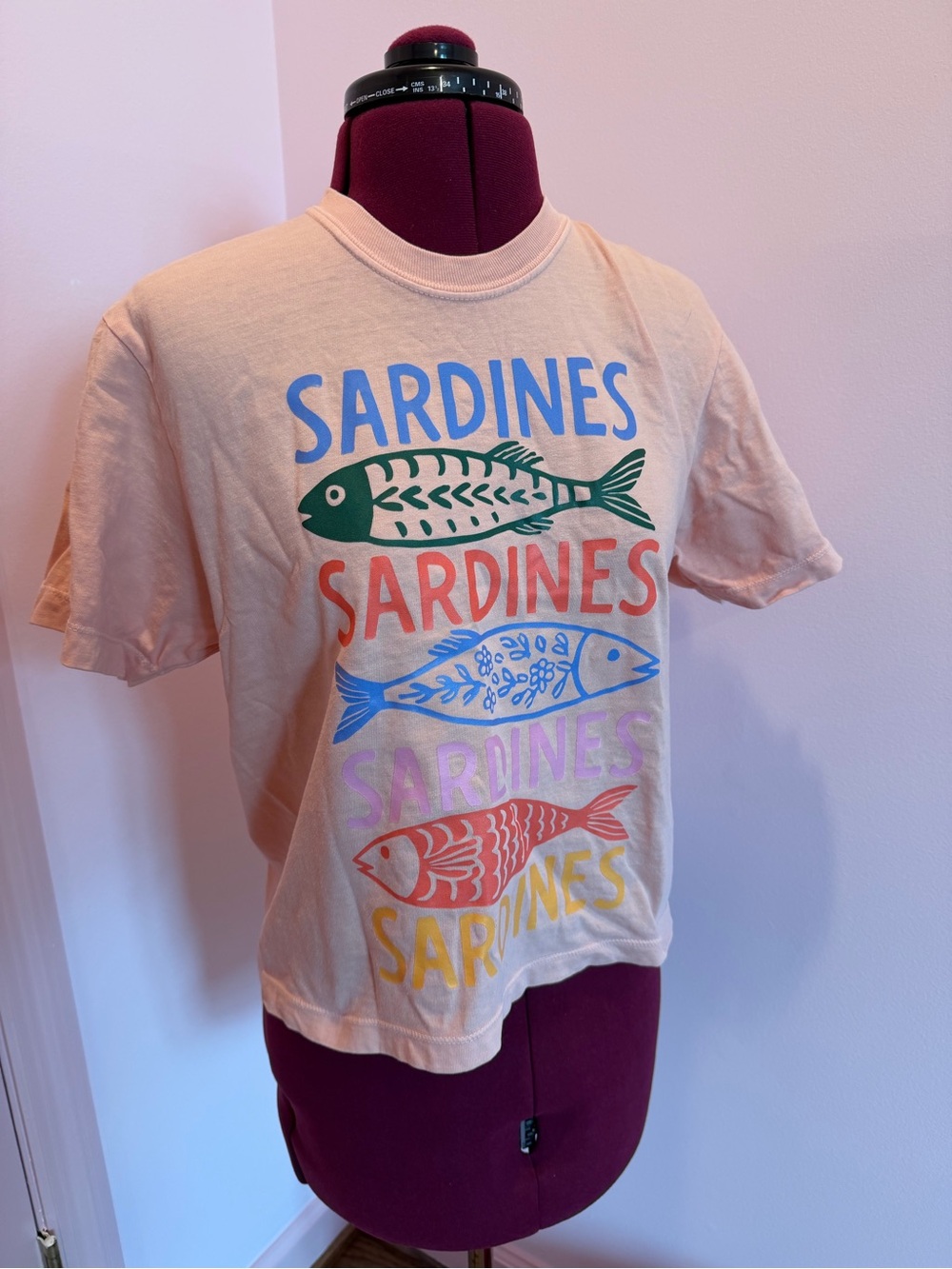 Comfort Colors Peach Kids Tee with Multicolor Sardines Print
